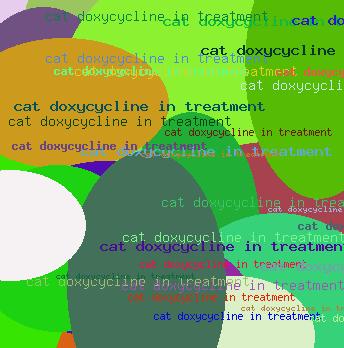 Cat doxycycline in treatment